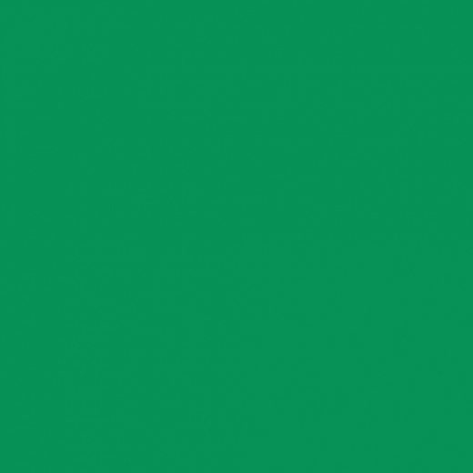 Tissue-Servietten Farbe jägergrün 40x40 cm 1/4-F 3-lagig