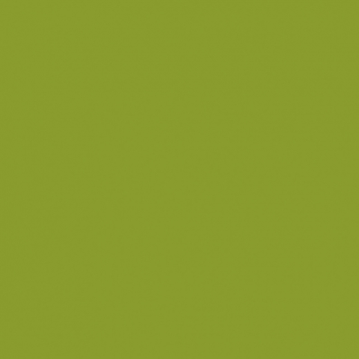 Tissue-Servietten Farbe leaf green 24x24 cm 1/4-F 3-lagig