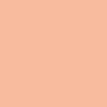 Tissue-Servietten Farbe aprikot 39x39 1/4-F 3-Lagig