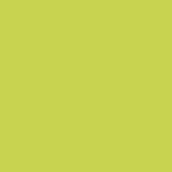 Tissue-Servietten Farbe limegreen 24x24 cm 1/4-F 3-la